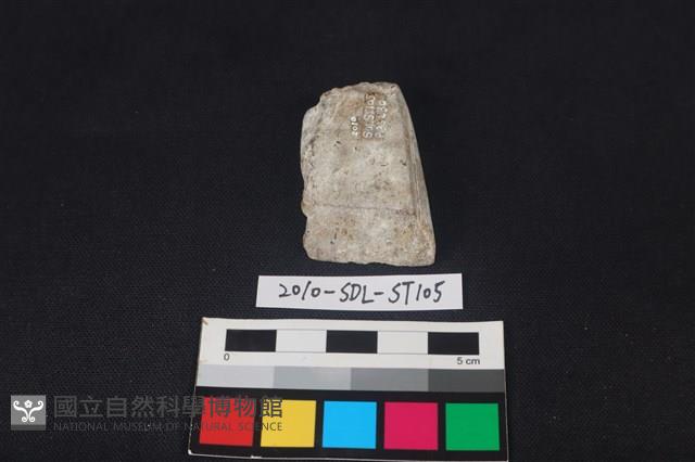 矛鏃形器藏品圖，第1張