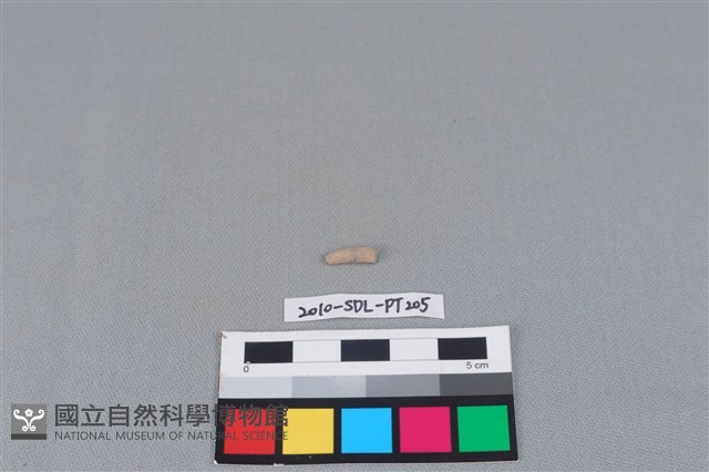 陶環藏品圖，第1張
