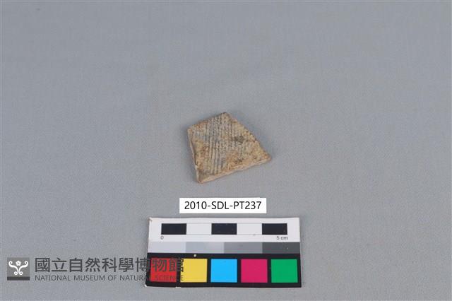 Accession Number:2010-SDL-PT237 Collection Image, Figure 1, Total 2 Figures