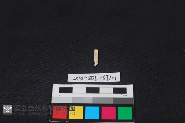 玉飾藏品圖，第1張