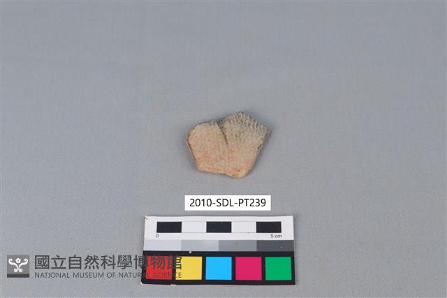 陶片藏品圖，第1張