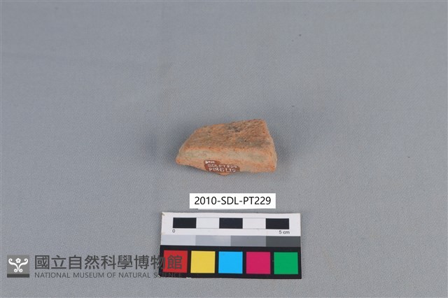 陶片藏品圖，第1張