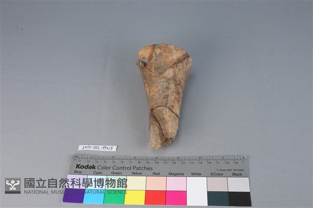 連杯形器藏品圖，第2張