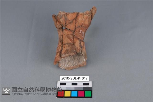 連杯形器藏品圖，第2張