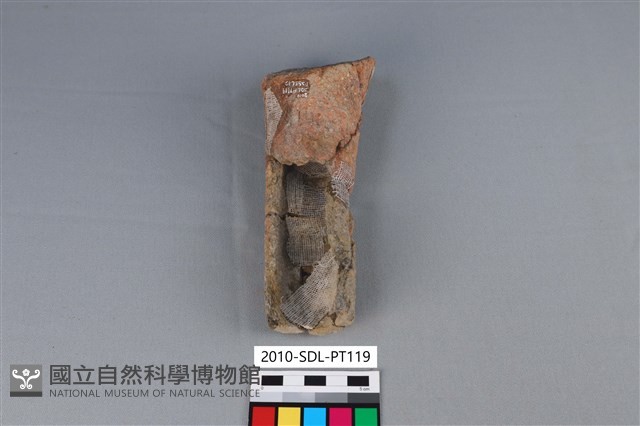陶鼎足藏品圖，第2張