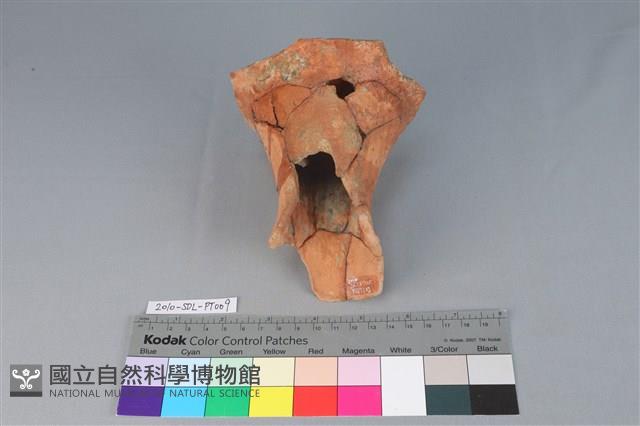 Accession Number:2010-SDL-PT009 Collection Image, Figure 2, Total 3 Figures