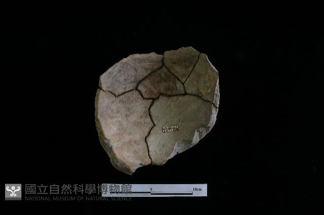 陶罐藏品圖，第1張