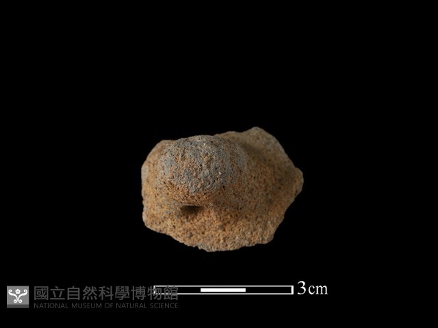 陶鈕藏品圖，第1張