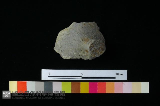 陶蓋藏品圖，第2張