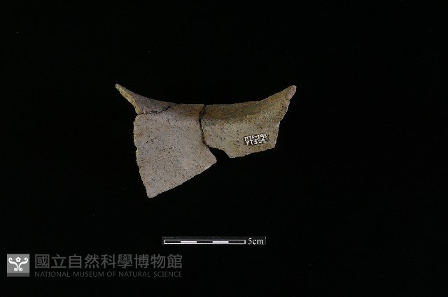 陶罐藏品圖，第1張