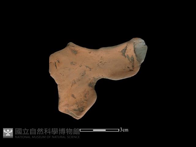 連杯形器藏品圖，第2張