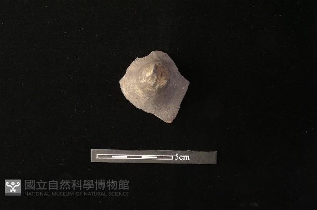 陶把藏品圖，第2張