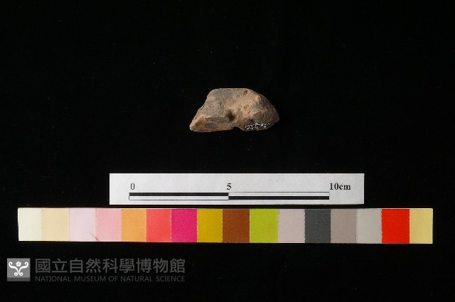 陶蓋藏品圖，第3張