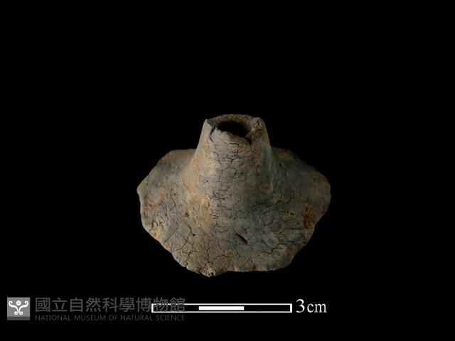 陶紡輪藏品圖，第1張