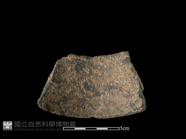 陶片藏品圖，第1張