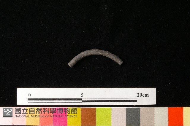 陶環藏品圖，第2張