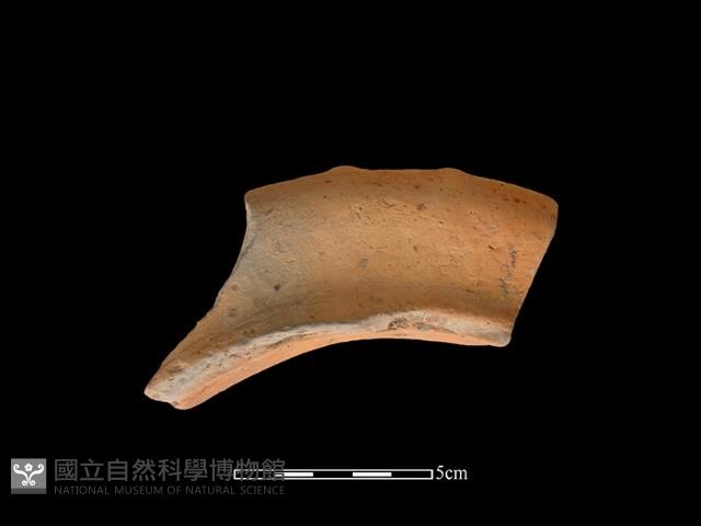 連杯形器藏品圖，第1張