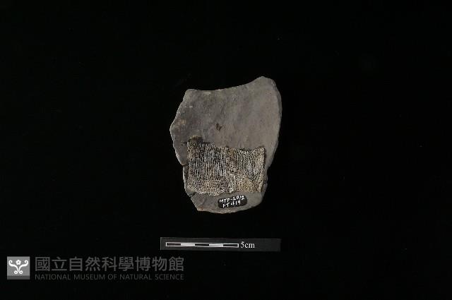 陶片藏品圖，第2張