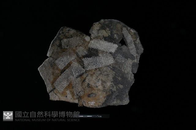 陶片藏品圖，第1張