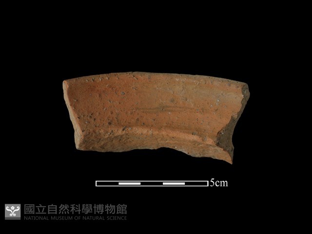 陶罐藏品圖，第1張