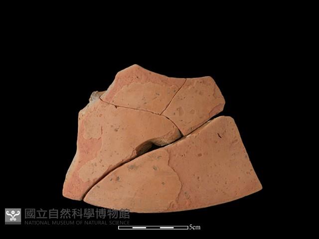 陶片藏品圖，第1張