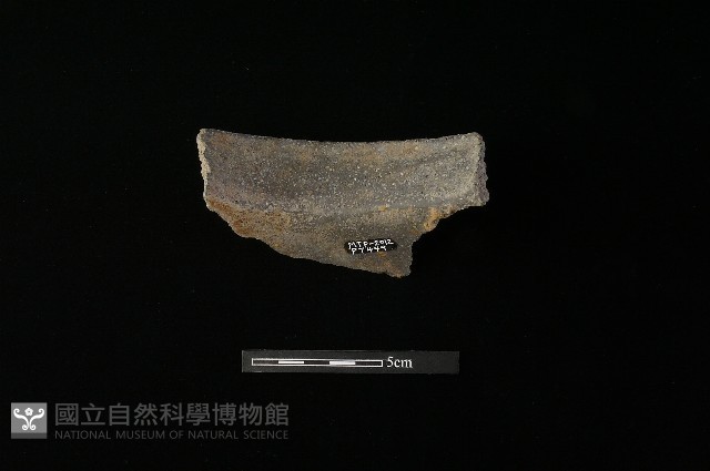 陶罐藏品圖，第3張
