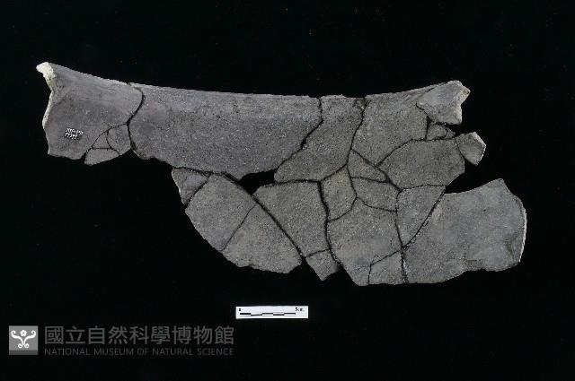 陶罐藏品圖，第1張