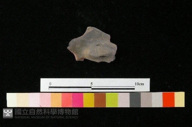 陶蓋藏品圖，第3張