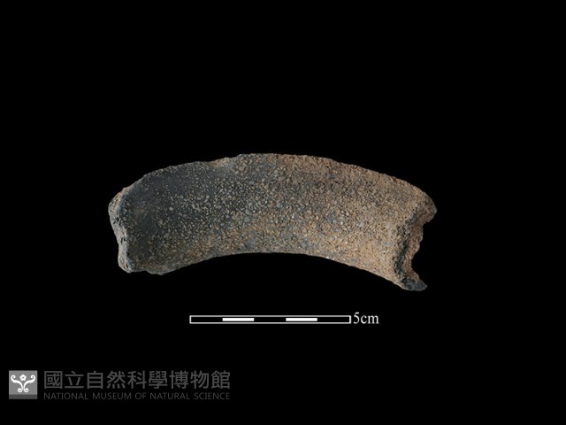 陶罐藏品圖，第2張