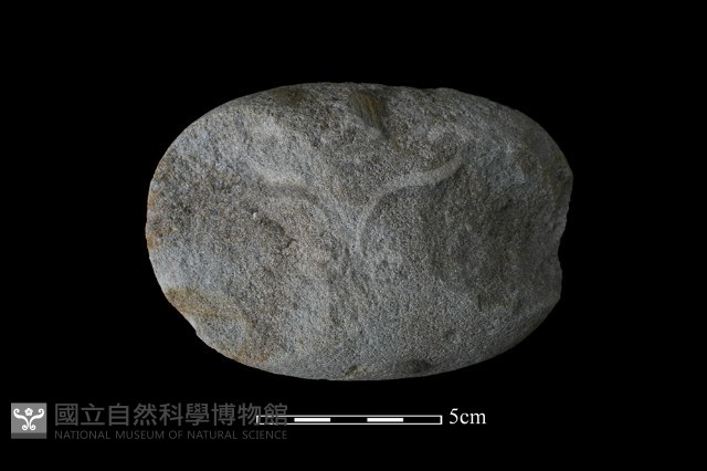 石核藏品圖，第2張