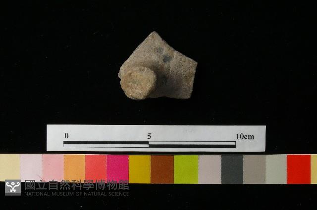 陶蓋藏品圖，第2張