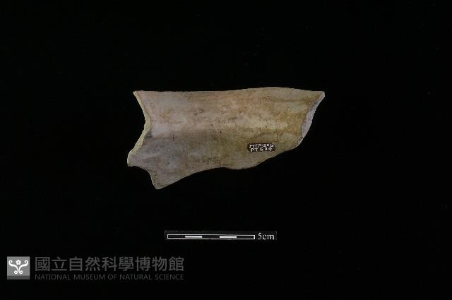 陶罐藏品圖，第1張