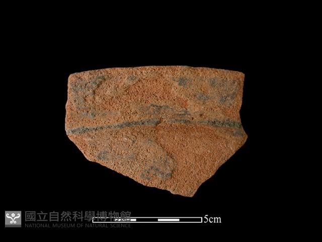 Accession Number:NSKII-2017-279 Collection Image, Figure 1, Total 2 Figures