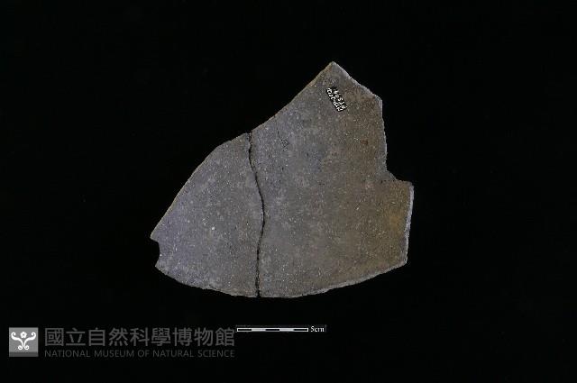 陶片藏品圖，第2張