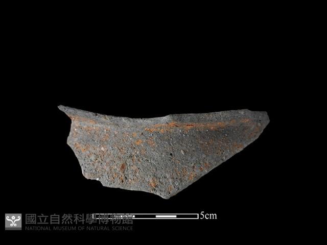 陶片藏品圖，第3張