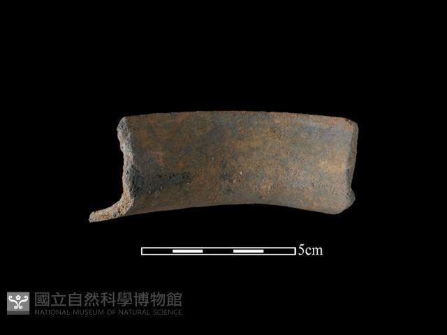 陶罐藏品圖，第1張