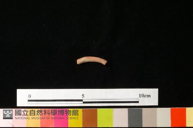 陶環藏品圖，第2張