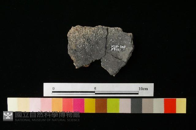 陶片藏品圖，第1張