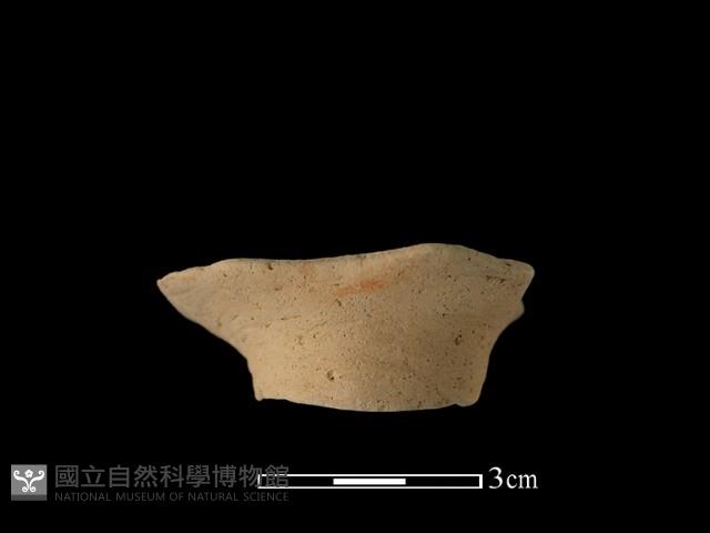 陶片藏品圖，第2張