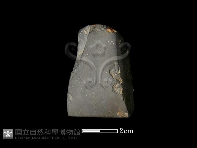 錛鑿形器藏品圖，第2張