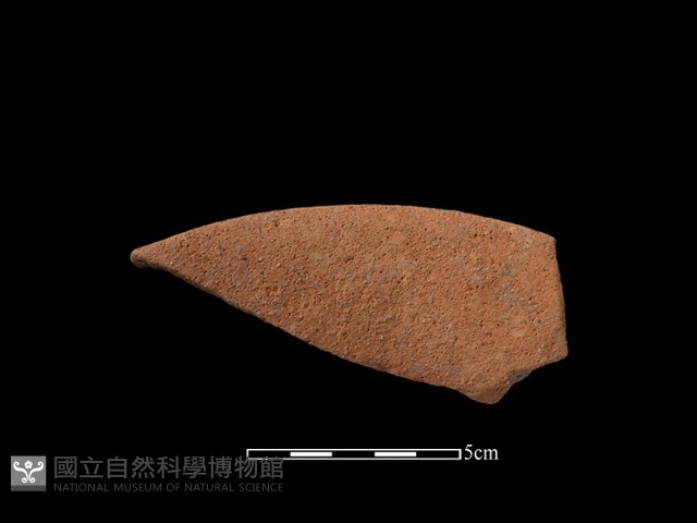 陶片藏品圖，第2張