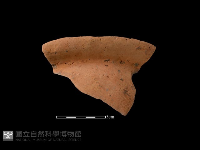 連杯形器藏品圖，第2張