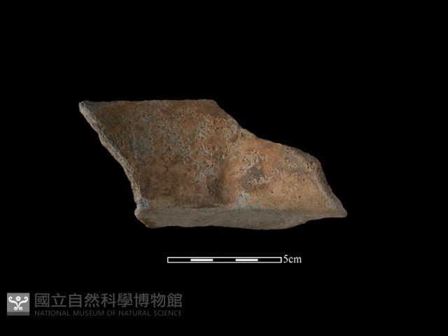 陶罐藏品圖，第2張