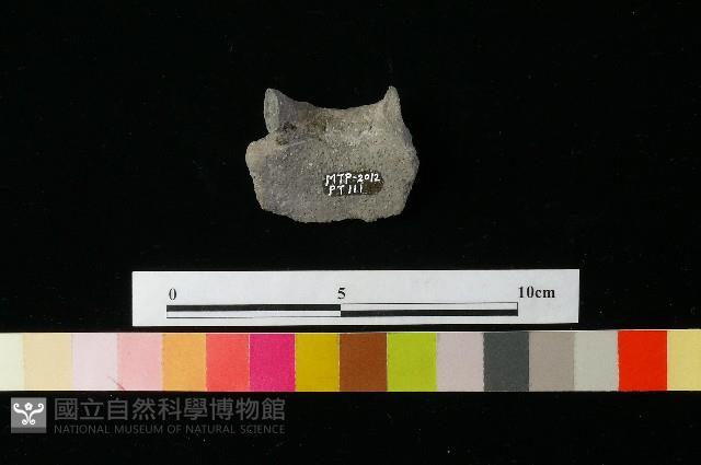 陶瓢藏品圖，第1張