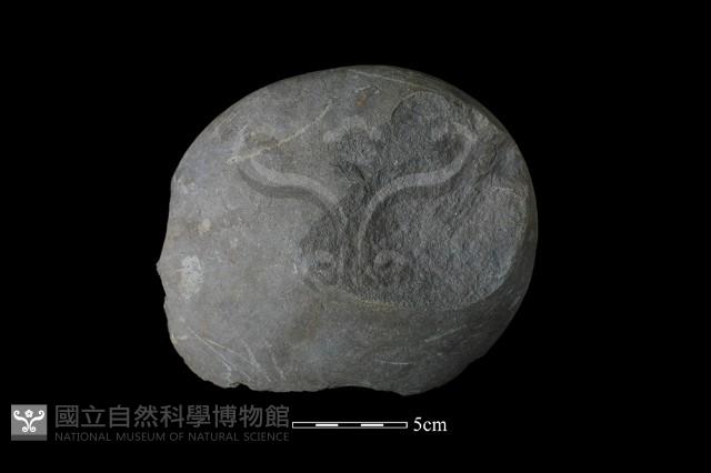 石核藏品圖，第2張