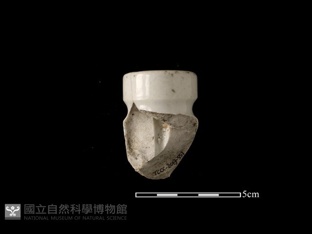 礙子藏品圖，第1張