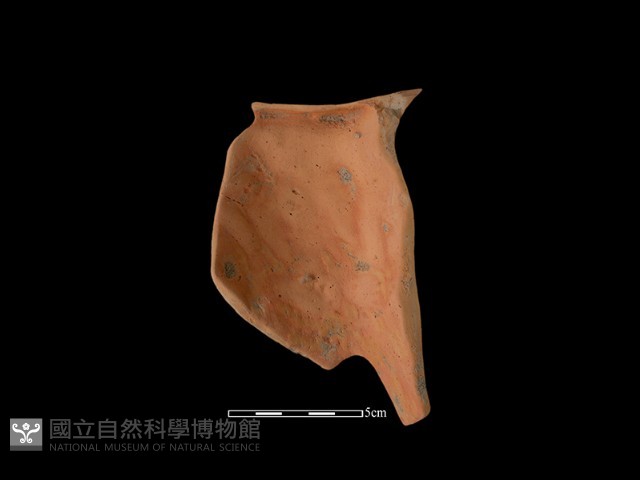 陶片藏品圖，第2張