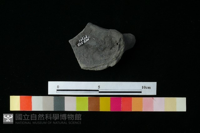陶把藏品圖，第3張