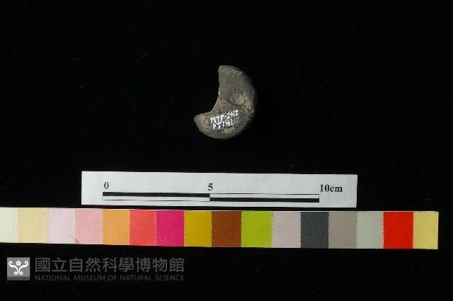 陶蓋藏品圖，第1張