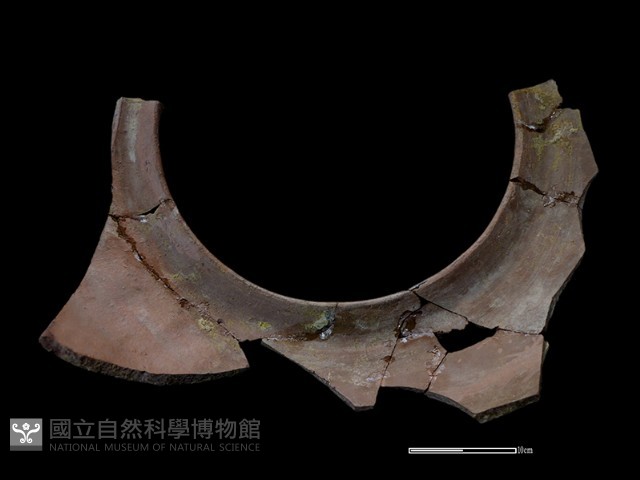 陶缸藏品圖，第2張